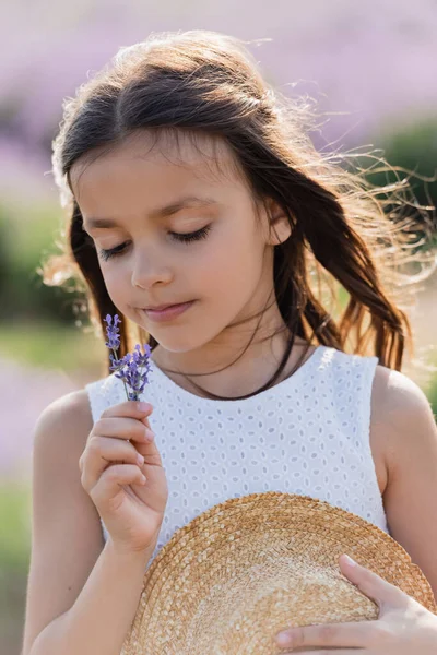 Brunette girl with long hair holding lavender flowers and straw hat outdoors — Stockfoto