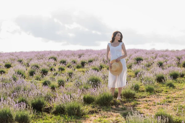 Full length of brunette woman in white dress standing with straw hat in field with blooming lavender — Stockfoto