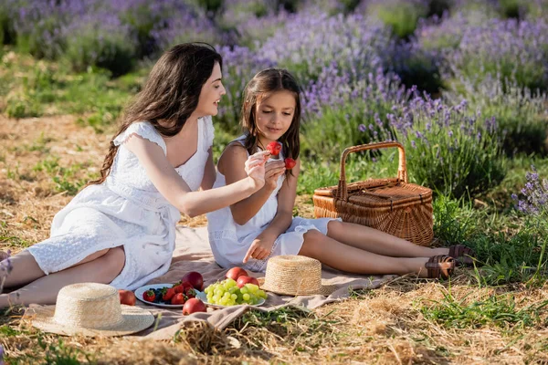 Mother and child eating ripe fruits on picnic in lavender meadow — Foto stock