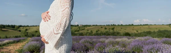 Cropped view of pregnant woman in white dress touching belly in meadow, banner — Photo de stock