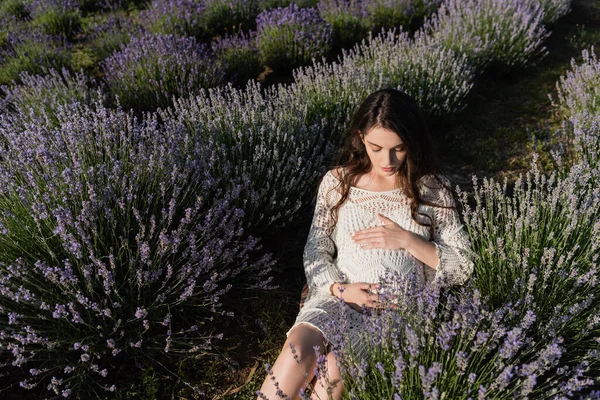 Високий кут зору вагітної жінки, що сидить у полі з квітами лаванди і зворушливим животом — стокове фото