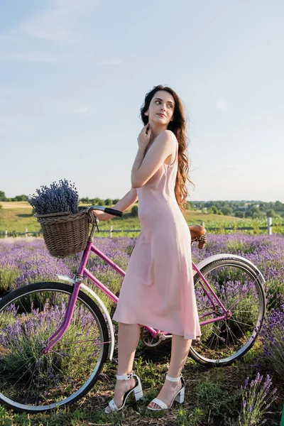 Brunette woman with bike and lavender in wicker basket looking away outdoors — Foto stock