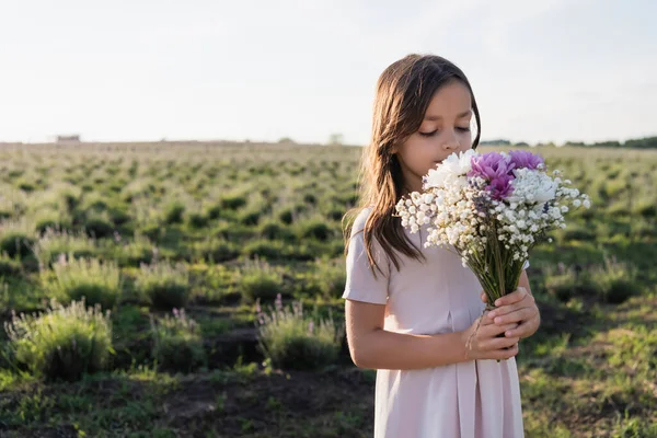 Brunette girl in white dress smelling aromatic bouquet in meadow — Photo de stock