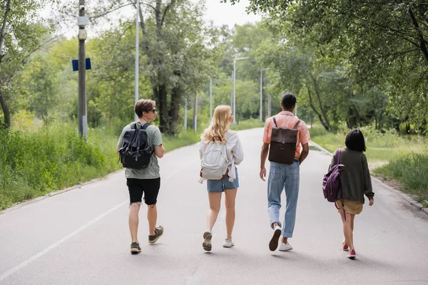 Back view of young multiethnic tourists walking on road near forest — Stockfoto