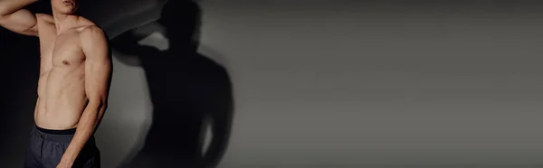 Частичный вид человека без рубашки с мускулистым туловищем на сером фоне с черной тенью, баннер — стоковое фото