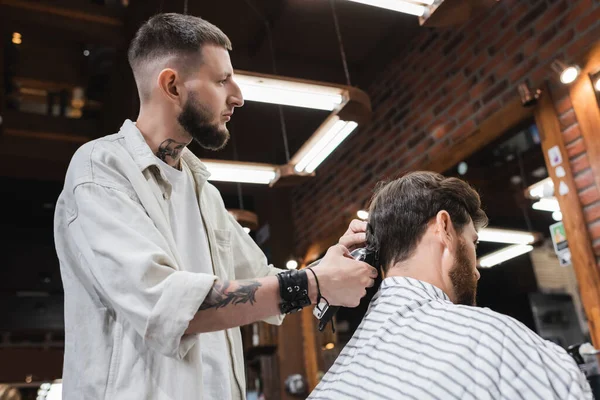 Barber trimming hair of client and looking away in barbershop — Stock Photo