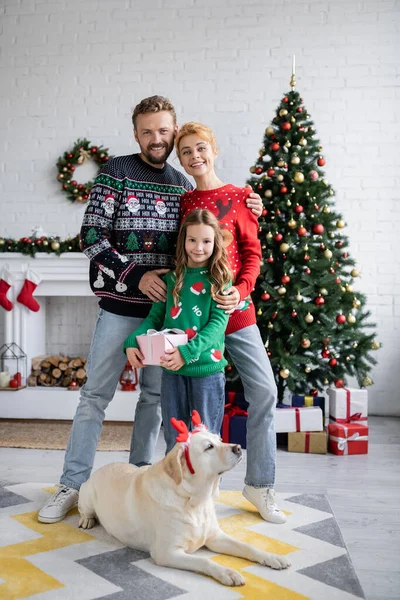 Familia sonriente en jerseys navideños sosteniendo presente cerca de labrador en casa - foto de stock