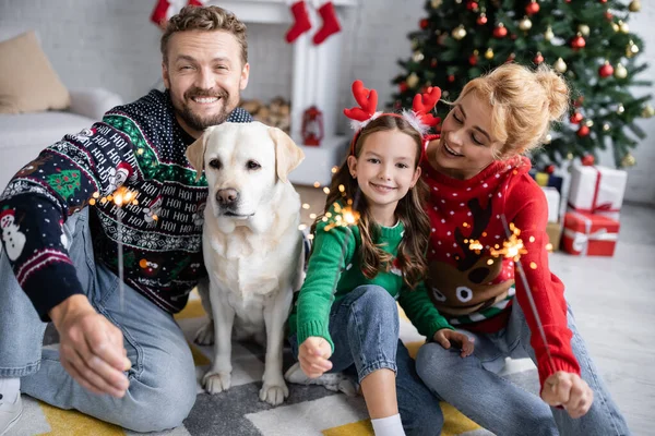 Cheerful family in new year sweaters holding sparklers near labrador at home — Stock Photo