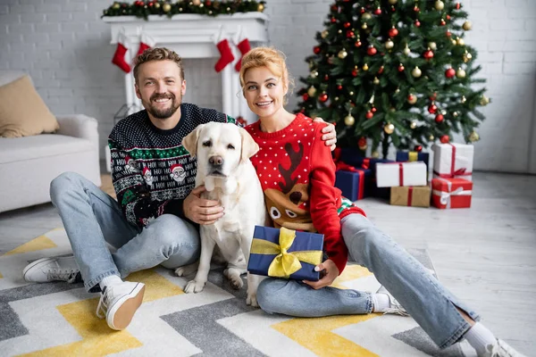 Sorrindo casal em camisolas segurando presente e abraçando labrador em casa — Fotografia de Stock