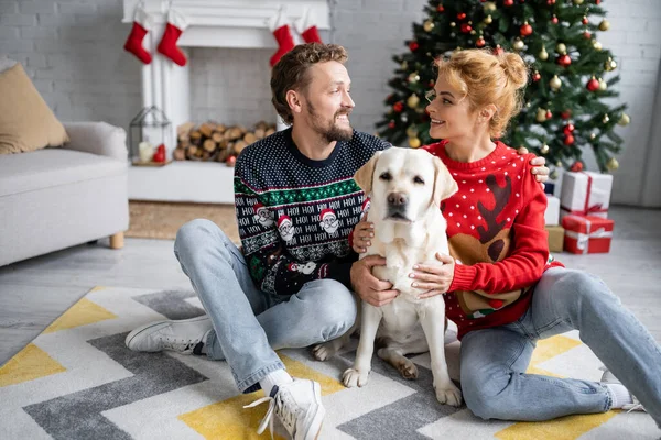 Позитивная пара в свитерах обнимает лабрадора на Рождество дома — стоковое фото