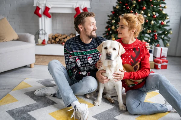 Positive couple in sweaters hugging labrador during christmas at home — Stock Photo