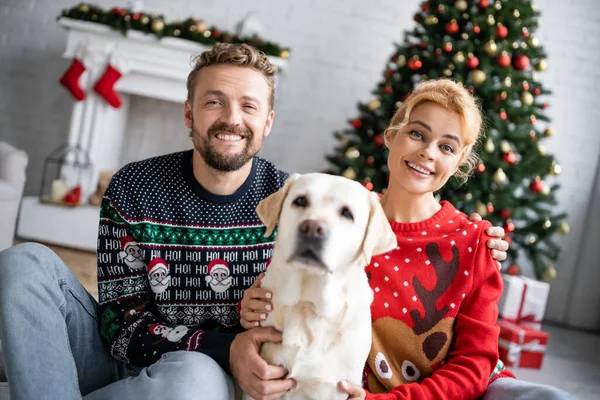 Pareja sonriente en suéteres de año nuevo abrazando a labrador en casa - foto de stock