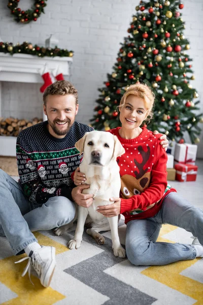 Cheerful family hugging labrador and looking at camera near blurred christmas tree at home — Stock Photo