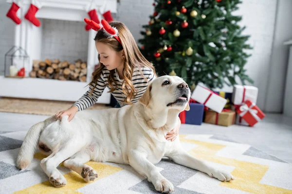 Ragazza petting labrador vicino sfocato albero di Natale a casa — Foto stock