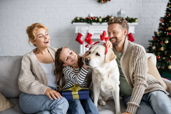 Pais olhando para a filha com presente vestindo headband Natal no labrador em casa — Fotografia de Stock