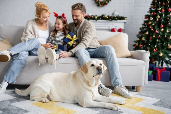 Labrador liegt mit Weihnachtsgeschenk zu Hause neben lächelnder Familie auf dem Boden — Stockfoto