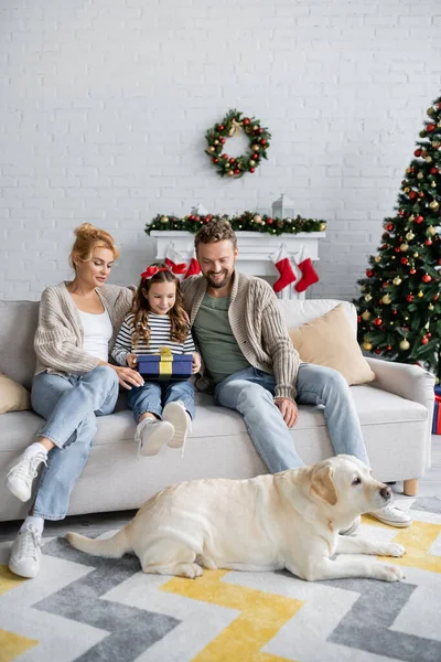 Parents et fille souriants avec un cadeau de nouvel an regardant labrador sur le sol à la maison — Photo de stock