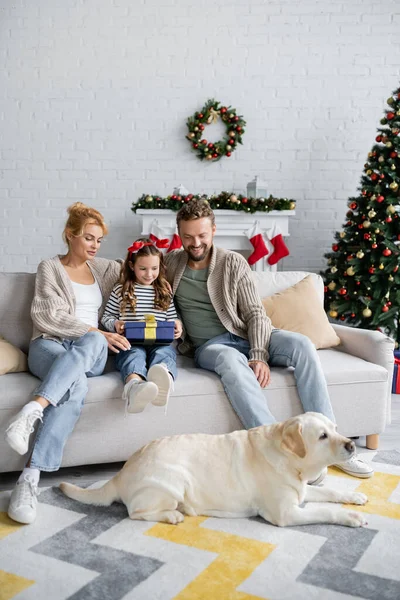 Sonrientes padres y niñas con regalo de año nuevo mirando labrador en el suelo en casa - foto de stock