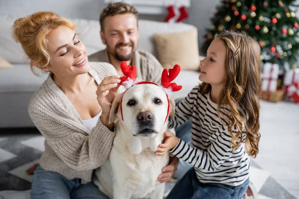 Lächelnde Frau berührt Weihnachten Stirnband auf Labrador nahe Familie im Wohnzimmer — Stockfoto