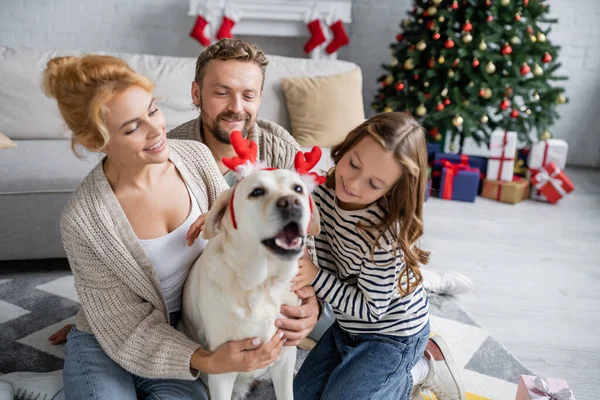 Hombre sonriente mirando labrador acariciando a la familia durante la celebración de Navidad en casa — Stock Photo
