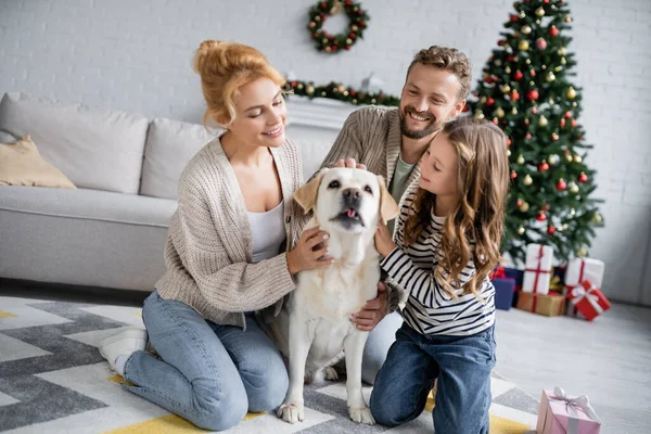 Mutter und Tochter streicheln Labrador neben Mann und Weihnachtsgeschenk im Wohnzimmer — Stockfoto