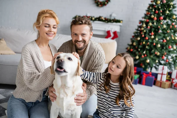 Glückliche Eltern und Mädchen streicheln Labrador bei Weihnachtsfeier zu Hause — Stockfoto