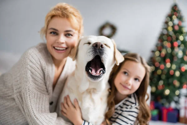 Labrador bocejo perto de mãe turva e menina em casa — Fotografia de Stock
