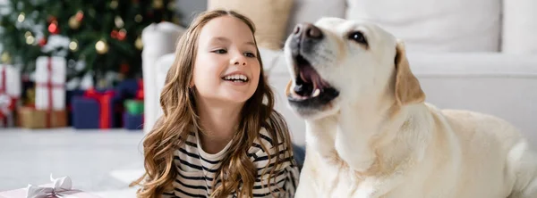 Positives Mädchen schaut verschwommenen Labrador während Weihnachten im Wohnzimmer an, Banner — Stockfoto