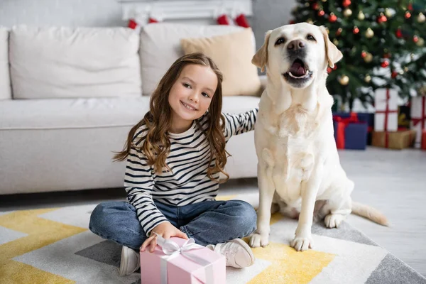 Ragazzo che tiene il nuovo anno presente e abbraccia labrador su tappeto in soggiorno — Foto stock