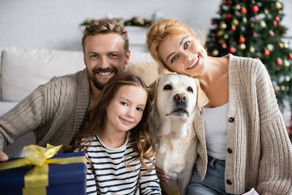 Familia positiva con labrador y regalo de Navidad mirando a la cámara en casa - foto de stock