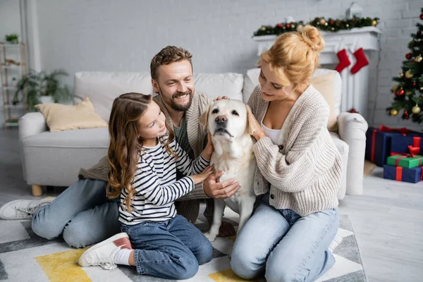 Niño sonriente acariciando labrador cerca de mamá y padre durante el año nuevo en casa - foto de stock