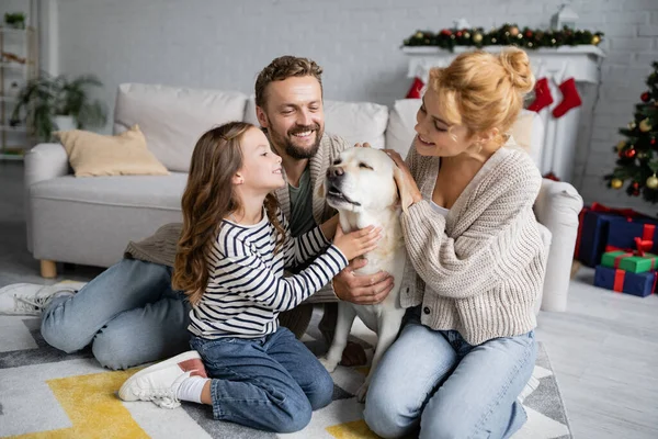 Fröhliches Mädchen schaut zu Weihnachten bei Mama und Papa auf Labrador — Stockfoto