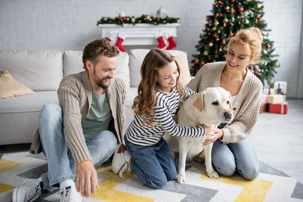 Man looking at wife and daughter petting labrador during new year at home — Stock Photo