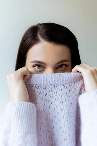 Brünette Frau verschleiert Gesicht mit Kragen aus warmem Strickpullover, während sie in die Kamera schaut, isoliert auf grau — Stockfoto