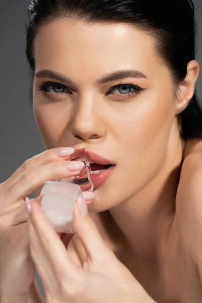 Sexy woman with naked shoulders holding ice cubes isolated on grey — Stock Photo