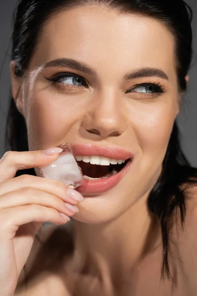 Mulher morena alegre segurando cubo de gelo perto de lábios isolados em cinza — Fotografia de Stock