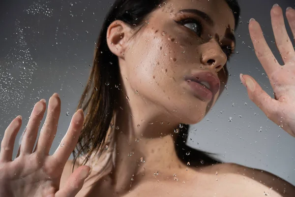 Low angle view of young brunette model with naked shoulders touching wet glass on grey background — Stock Photo