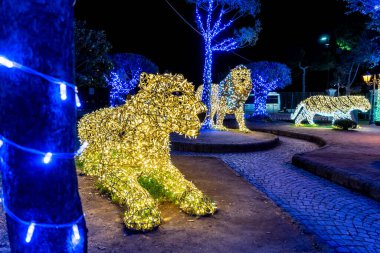 Gaeta 'daki çok güzel Noel ışıkları, 2019 ışık masalları, Gaeta, Lazio, İtalya. Aslanın temsili