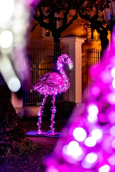 Gaeta 'da Noel ışıkları, 2019 ışık masalları, Gaeta, Lazio, İtalya. Menekşe flamingosunun temsili