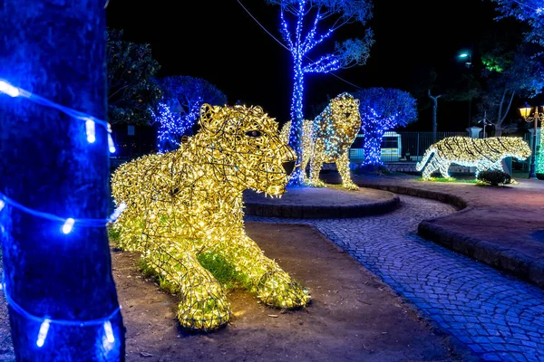 Gaeta 'daki çok güzel Noel ışıkları, 2019 ışık masalları, Gaeta, Lazio, İtalya. Aslanın temsili