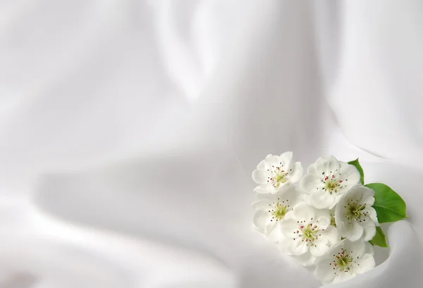 Background with flowers — Stock Photo, Image