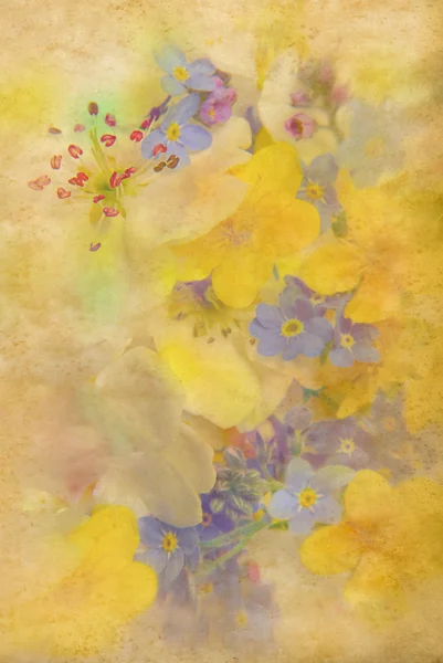 鲜花的背景 — 图库照片