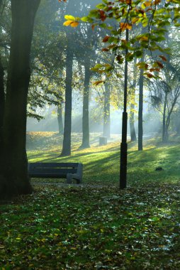 Wloclawek Park