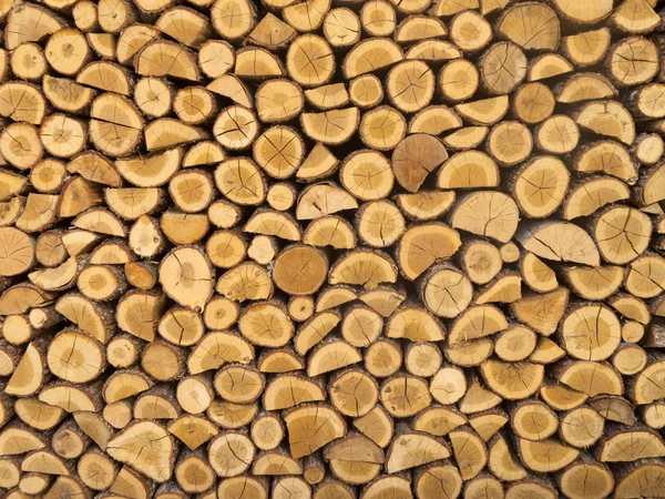 Sekané hromady dřeva — Stock fotografie