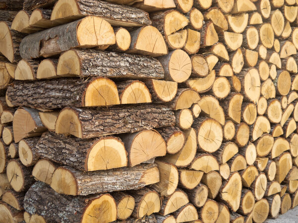 Chopped wood Pile