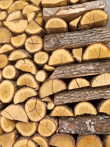 Нарубленная куча древесины — стоковое фото