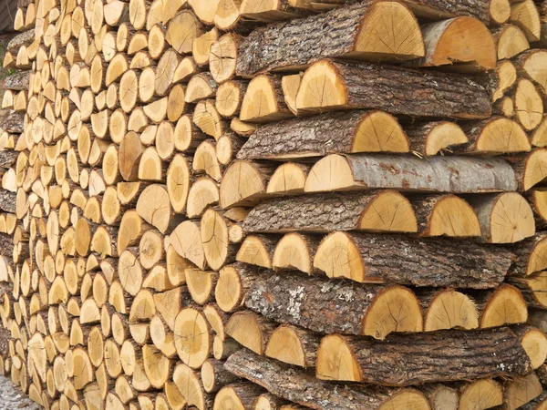 Chopped wood Pile — Stock Photo, Image