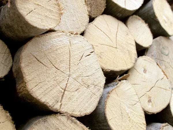 Choped trä — Stockfoto