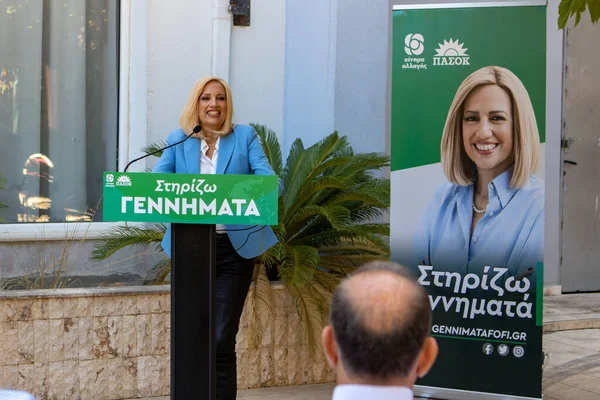 Presidente Kinal Fofi Gennimata Reunió Con Amigos Simpatizantes Del Pasok — Foto de Stock