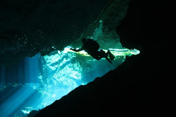Cenote dykning — Stockfoto